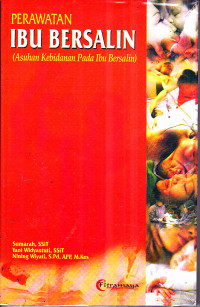 Image of Perawat Ibu Bersalin (Asuhan Kebidanan Pada Ibu Bersalin)